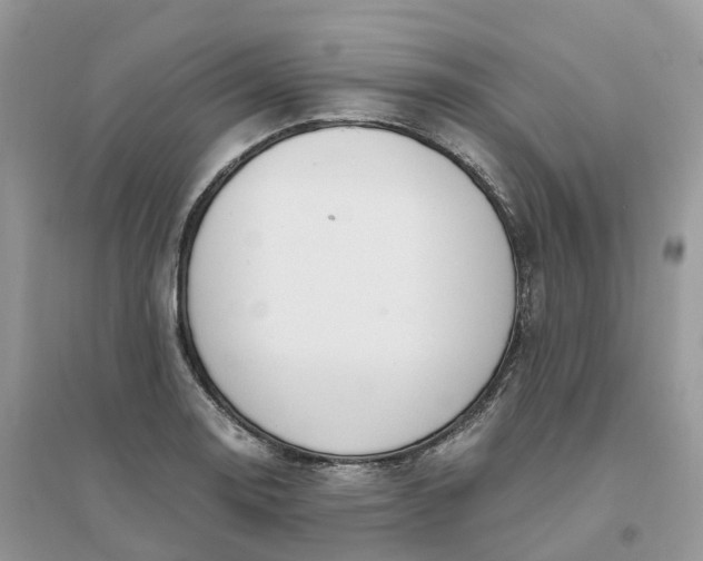 X0000096181130200802011335