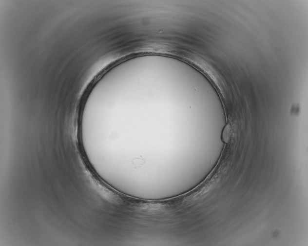 X0000096181131200802011335