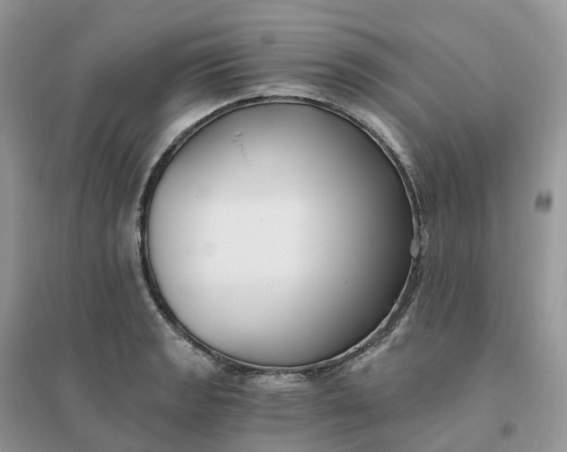 X0000096181133200802011335