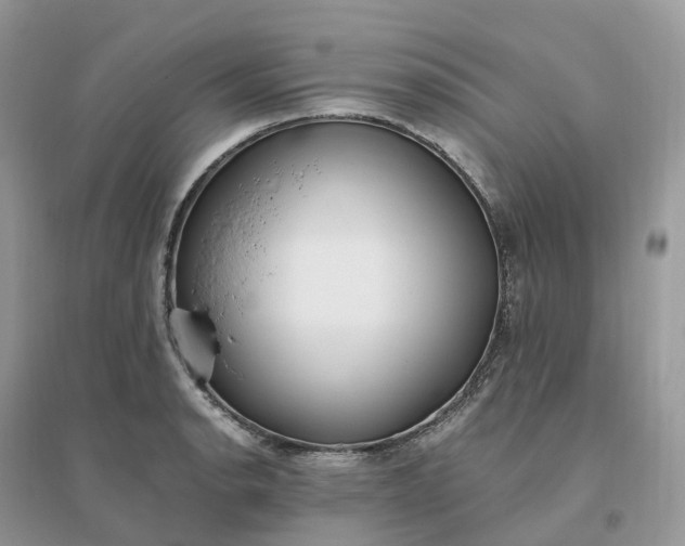 X0000096181134200802011336