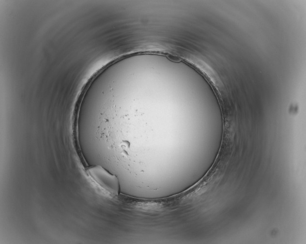 X0000096181135200802011336