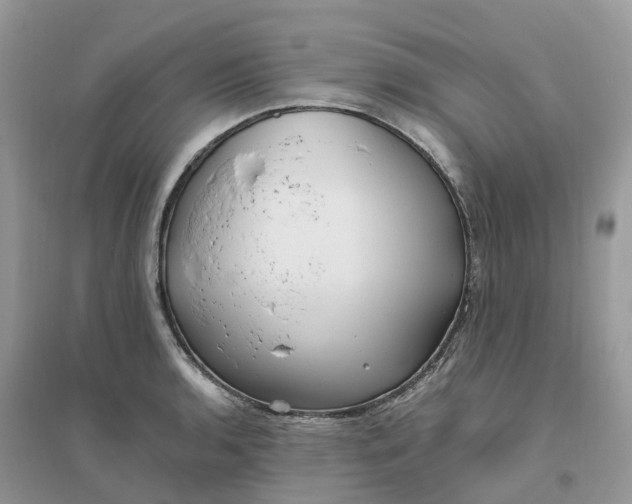 X0000096181136200802011336