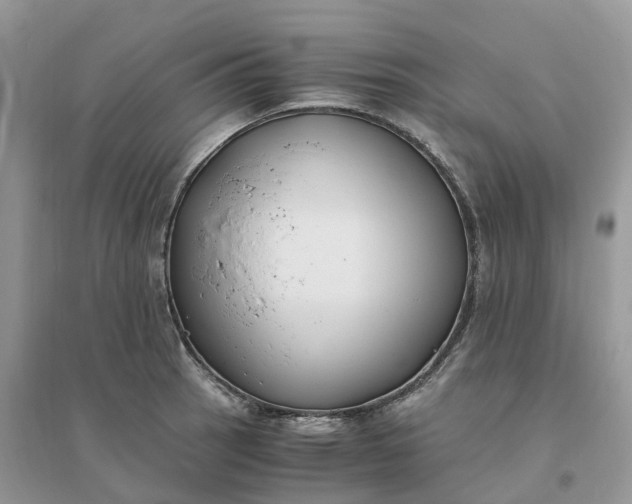X0000096181137200802011336