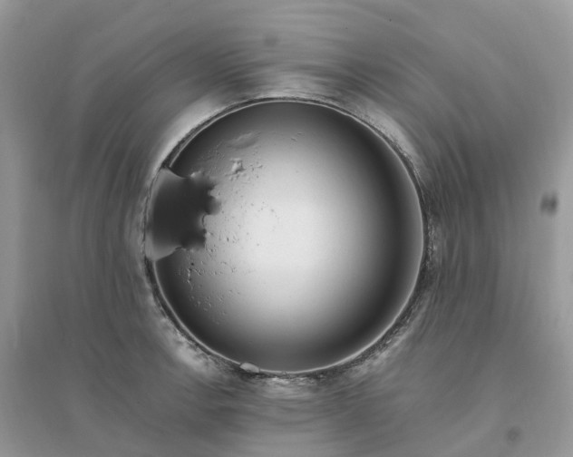X0000096181138200802011336