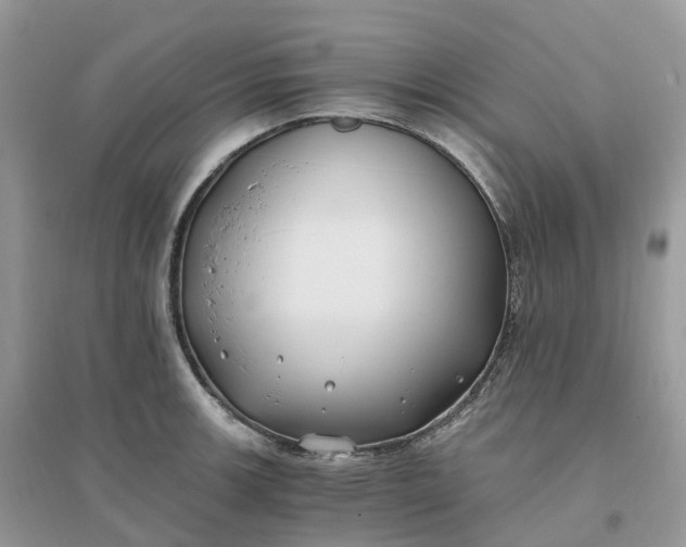 X0000096181139200802011336