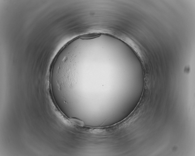 X0000096181140200802011336