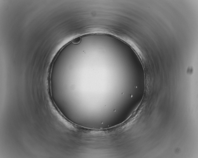 X0000096181142200802011336