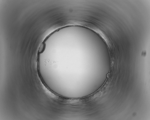 X0000096181143200802011336