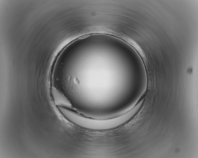 X0000096181144200802011336