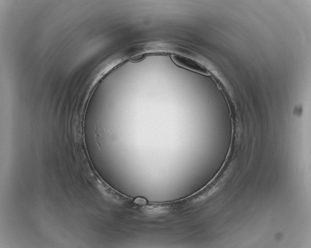X0000096181145200802011336