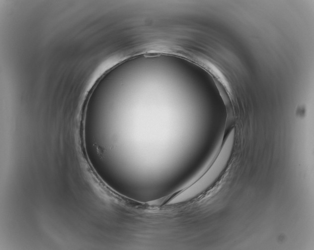 X0000096181146200802011336
