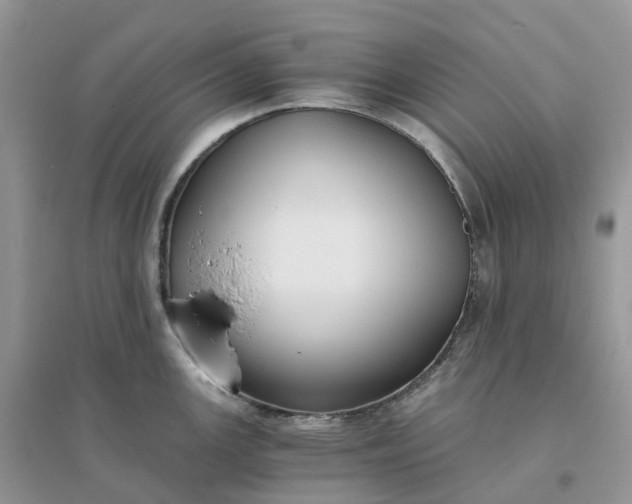 X0000096181147200802011336