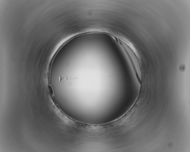 X0000096181148200802011336