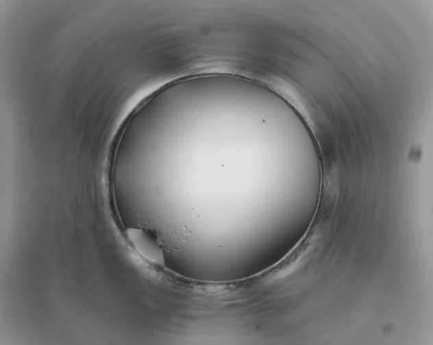 X0000096181149200802011336