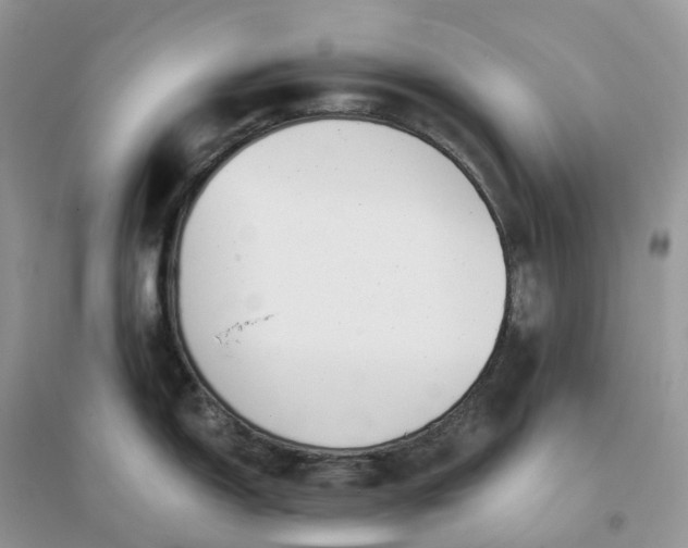 X0000096181150200802011336