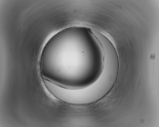 X0000096181152200802011336