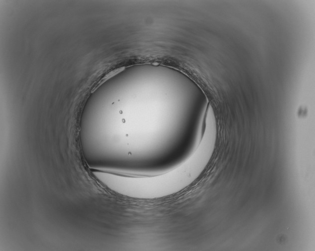 X0000096181153200802011335