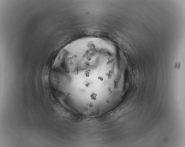 X0000096181154200802011335