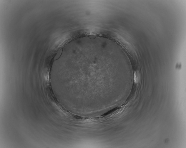X0000096181155200802011335