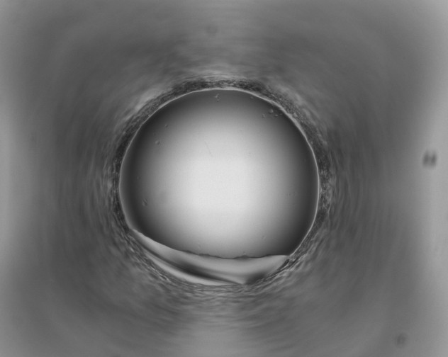 X0000096181157200802011335