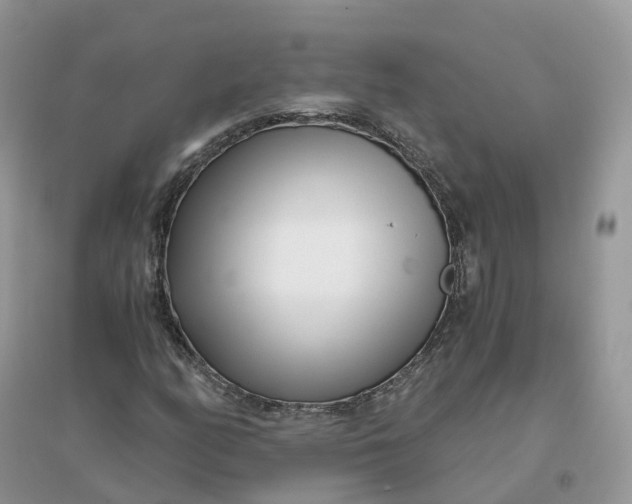 X0000096181158200802011335