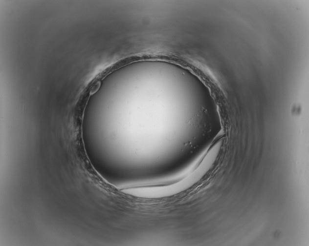 X0000096181160200802011335
