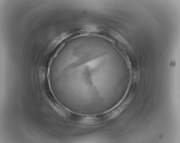 X0000096181161200802011335