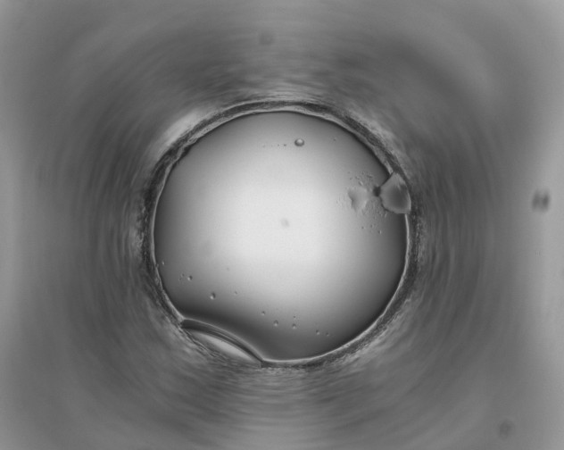 X0000096181163200802011335
