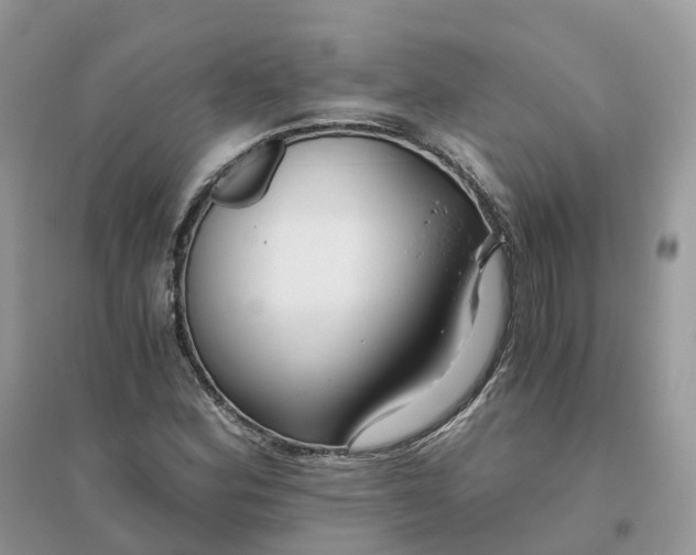 X0000096181164200802011335