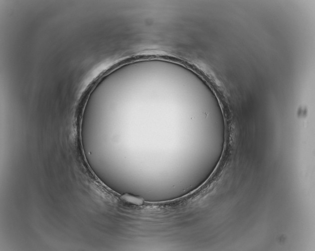 X0000096181167200802011335