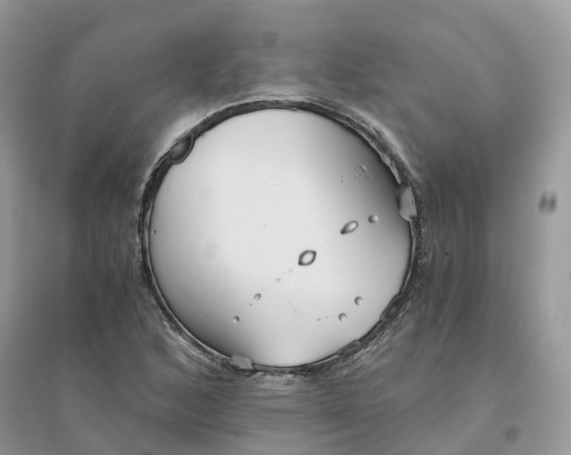 X0000096181168200802011335