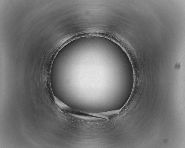 X0000096181169200802011335