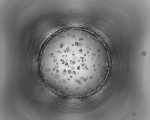 X0000096181170200802011335