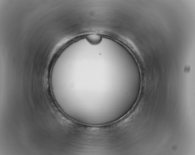 X0000096181172200802011335