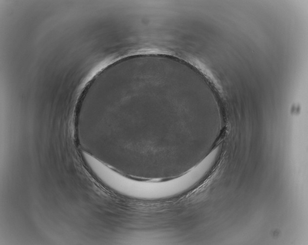 X0000096181173200802011335