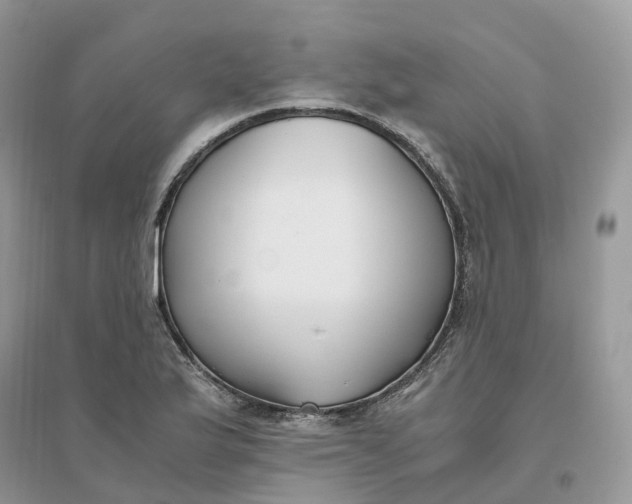 X0000096181175200802011335