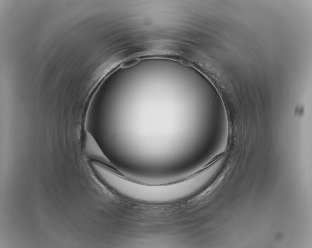 X0000096181177200802011335