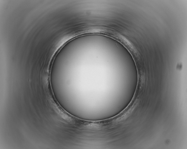 X0000096181178200802011335