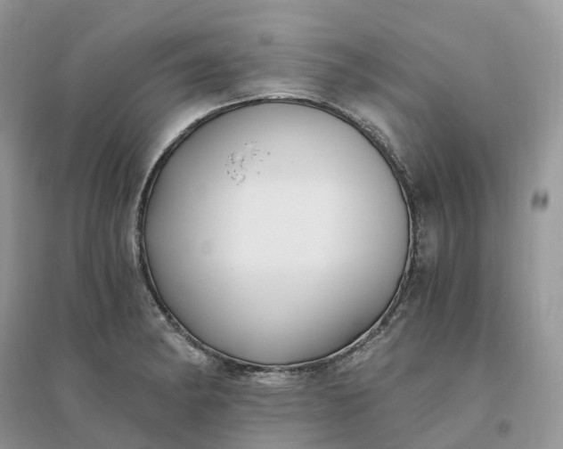 X0000096181182200802011335