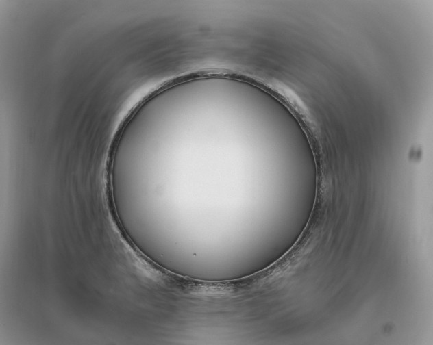 X0000096181183200802011335