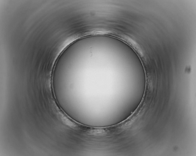 X0000096181186200802011335