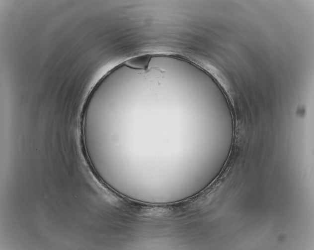 X0000096181187200802011335