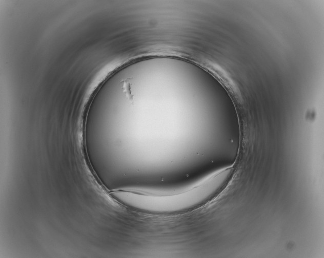 X0000096181188200802011335
