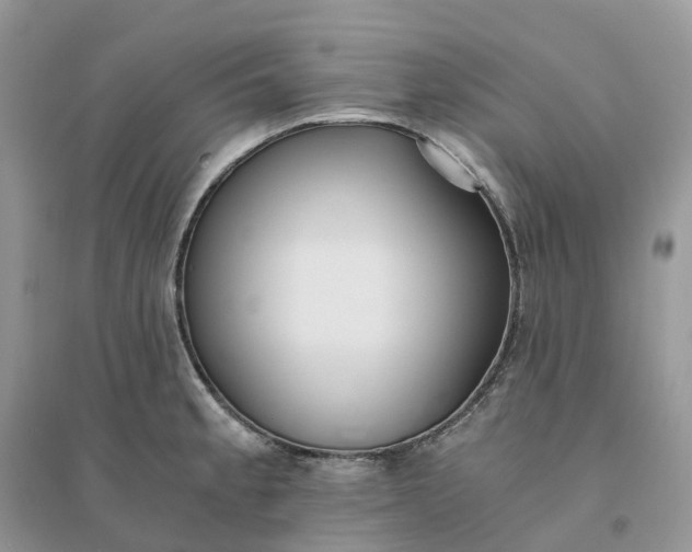 X0000096181189200802011335