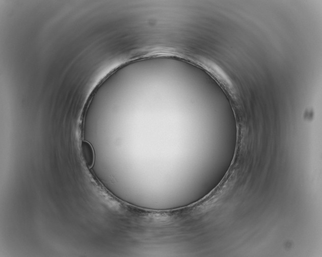 X0000096181190200802011335