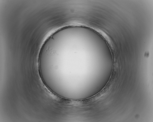 X0000096181191200802011335