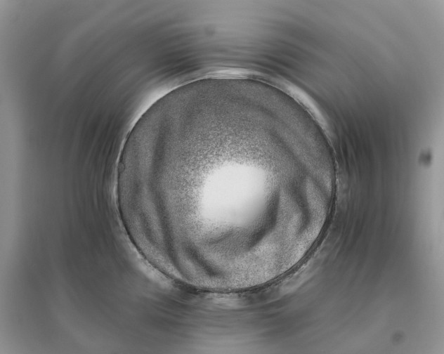 X0000096181194200802011335
