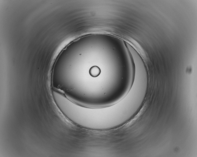 X0000096181196200802011335