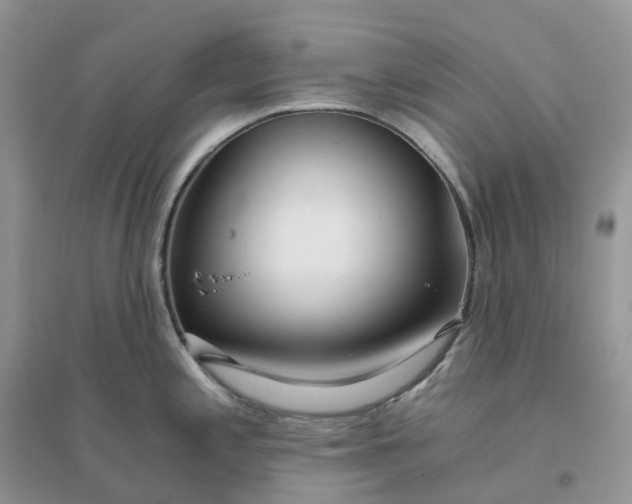 X0000096181197200802011334