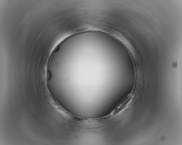 X0000096181198200802011334